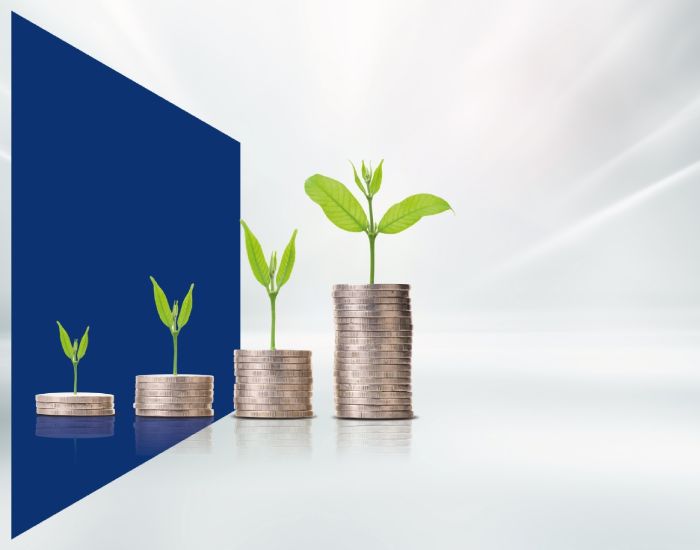 Savings Accounts National Bank of Kuwait